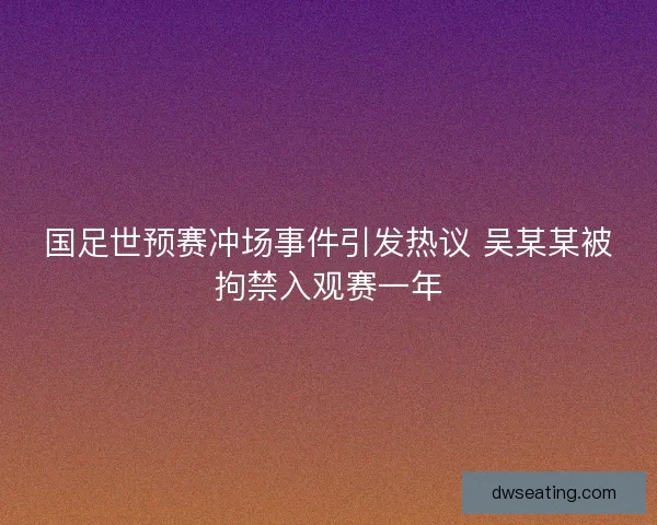 国足世预赛冲场事件引发热议 吴某某被拘禁入观赛一年