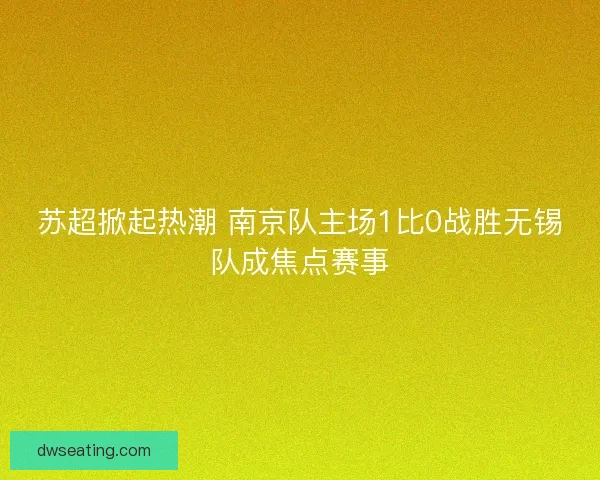 苏超掀起热潮 南京队主场1比0战胜无锡队成焦点赛事