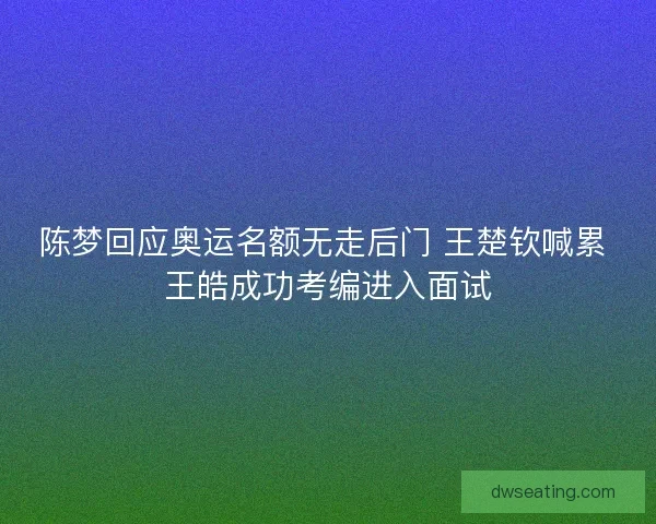陈梦回应奥运名额无走后门 王楚钦喊累 王皓成功考编进入面试