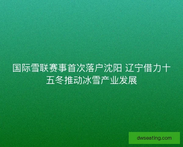 国际雪联赛事首次落户沈阳 辽宁借力十五冬推动冰雪产业发展